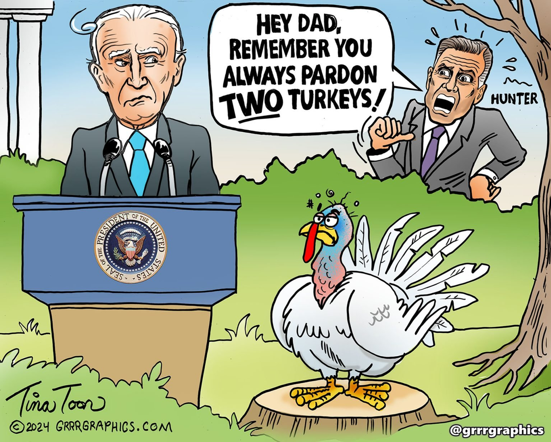 Time to Pardon the turkeys… panel 1